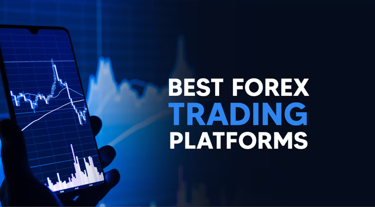 Best Forex Trading Websites for Research and Tools