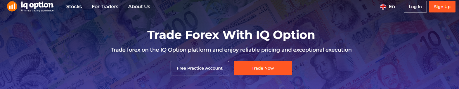 IQ Option Review Forex Broker