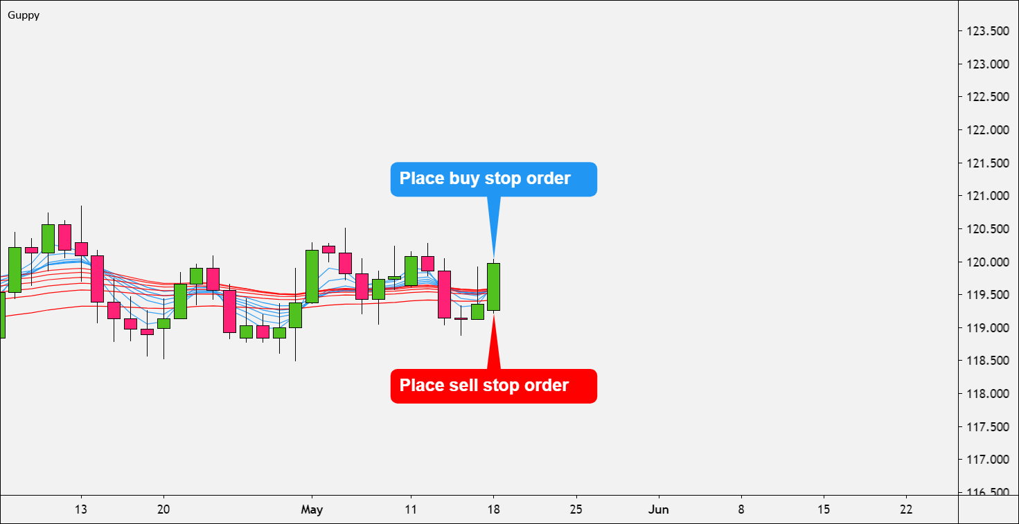How to Trend Trade with Guppy Multiple Moving Average