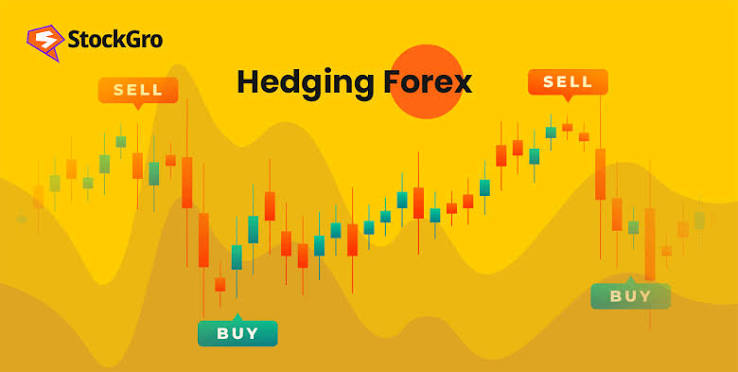 Forex Hedging Explained: How to Protect Your Trades From Losses 1 Forex Hedging Explained